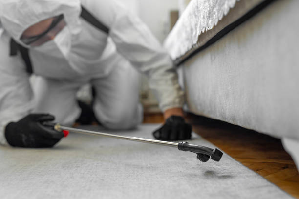 Professional Termite Control technician working in Bradner, OH
