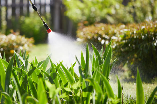 24/7 Emergency Termite Control experts in Bradner, OH